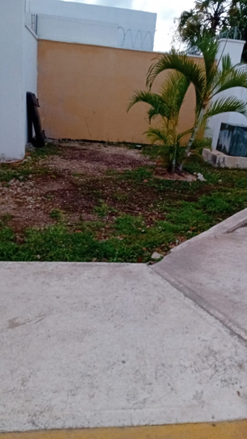 Jardín descuidado antes de la intervención