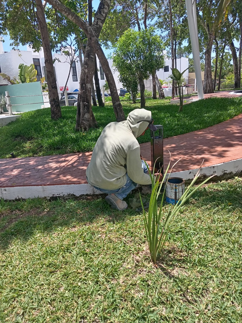 Personal pintando guarnición de área verde