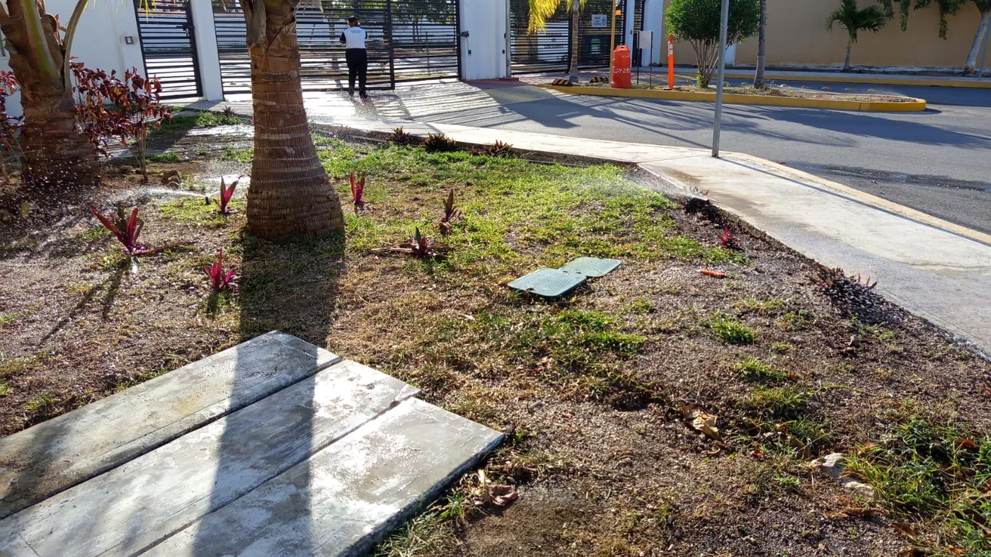 Jardinera antes de su rehabilitación