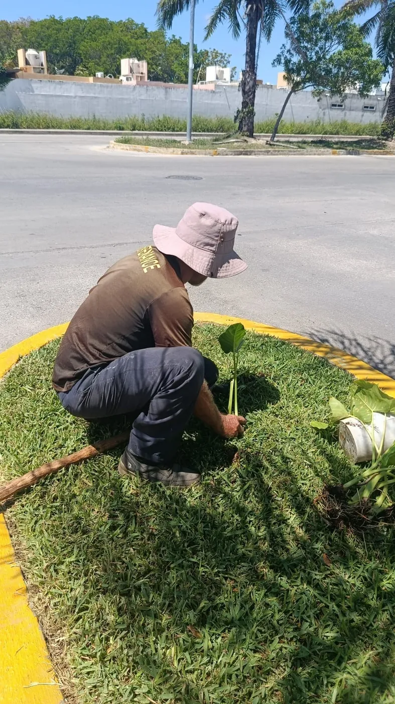 Personal atendiendo el césped y las áreas verdes