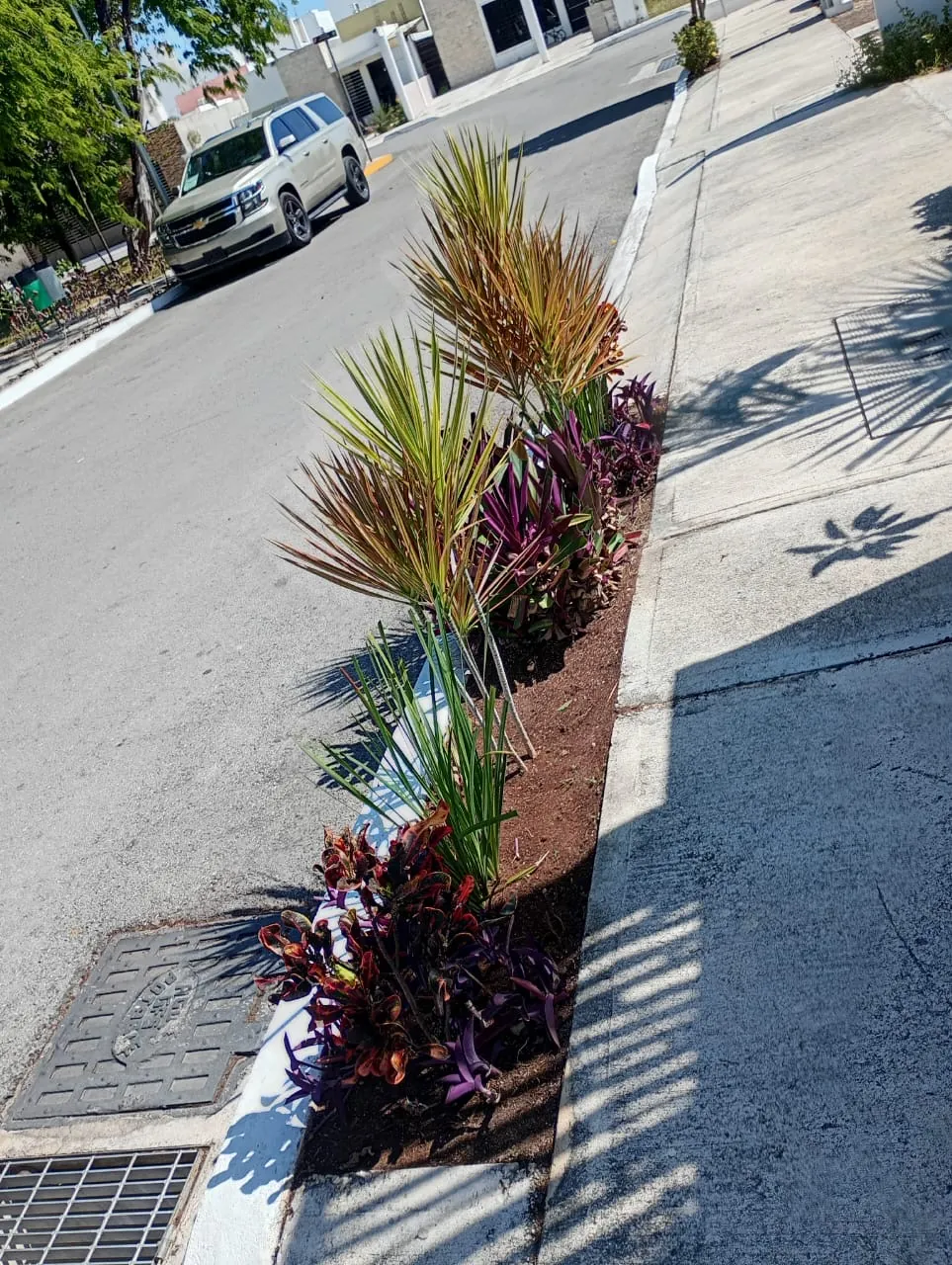 Jardinera terminada después de la intervención